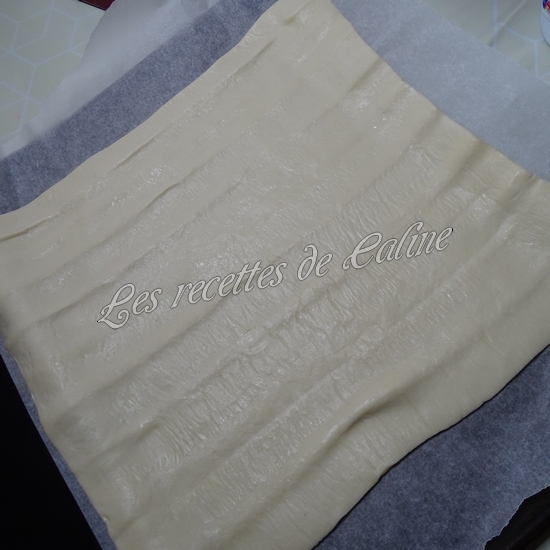 Pizza au surimi &amp; thon et miel01