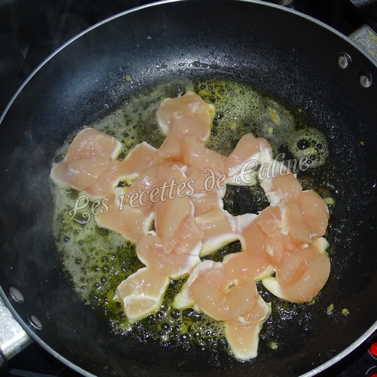 Quesadillas au poulet au fun pizza09