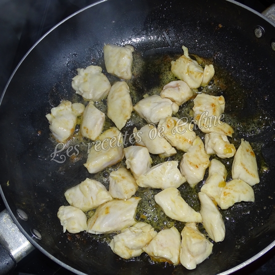 Quesadillas au poulet au fun pizza10