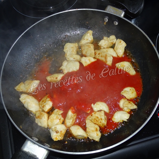 Quesadillas au poulet au fun pizza11