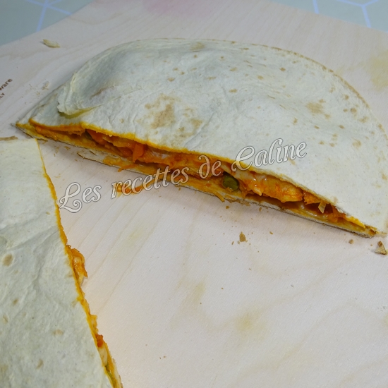 Quesadillas au poulet au fun pizza24