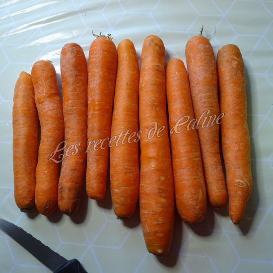 Tartiflette de Carottes gratinée01