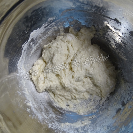 Chaussons farcis au poulet au curry - Curry puff21