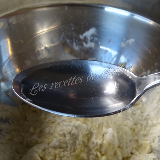 Chaussons farcis au poulet au curry - Curry puff26