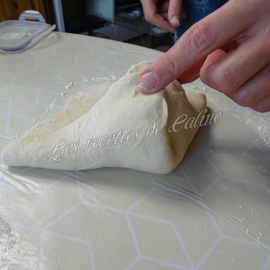 Chaussons farcis au poulet au curry - Curry puff31