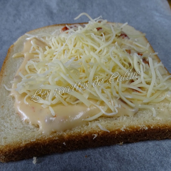 Croque monsieur aux tomates séchées12