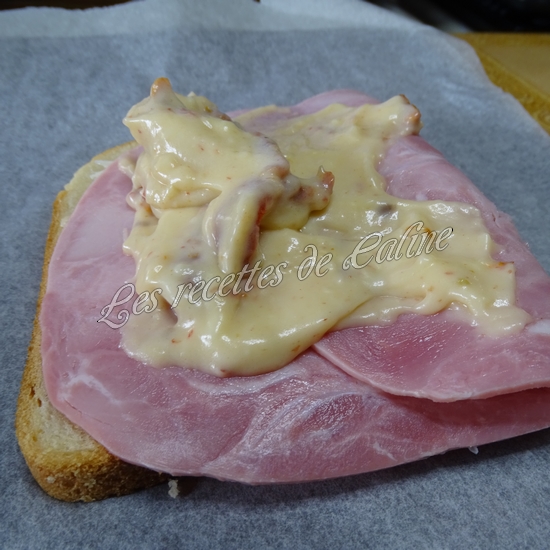 Croque monsieur aux tomates séchées14