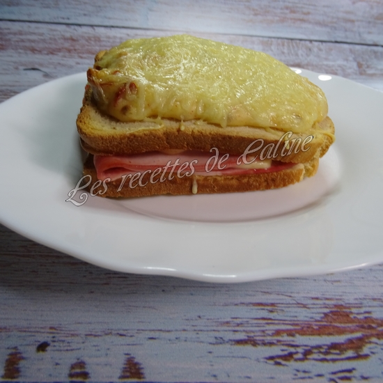 Croque monsieur aux tomates séchées22
