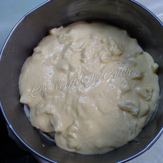 Gâteau renversé à l'ananas20