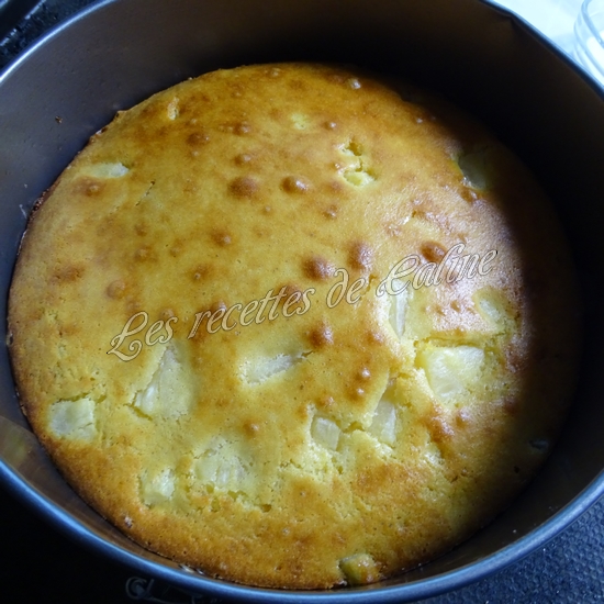 Gâteau renversé à l'ananas21
