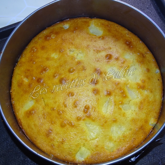 Gâteau renversé à l'ananas23