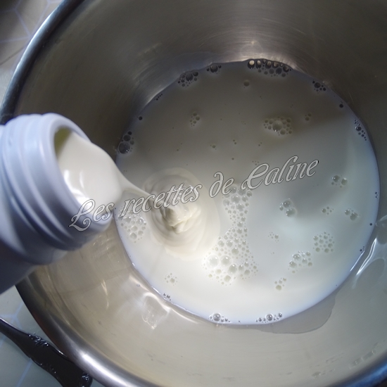 Pains Suisses aux pépites de chocolat08