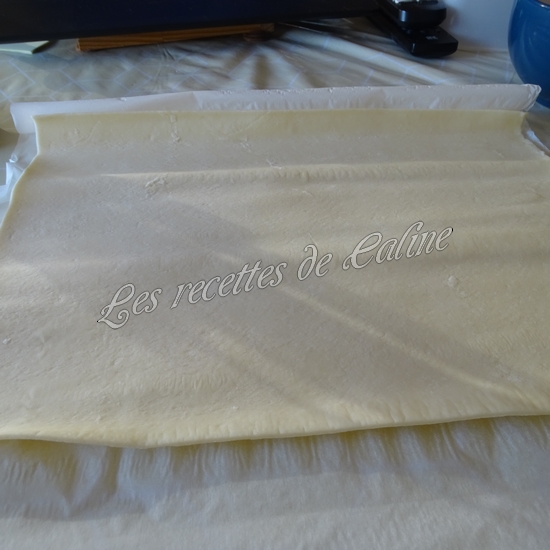 Pains Suisses aux pépites de chocolat18