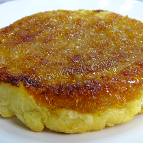 Tatin d'oignons16