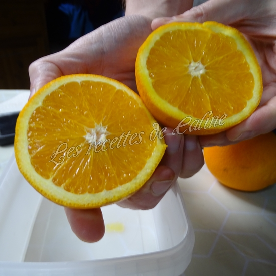 Porc aux agrumes à l'autocuiseur05