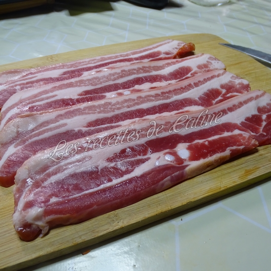 Boeuf carottes ou boeuf mode05