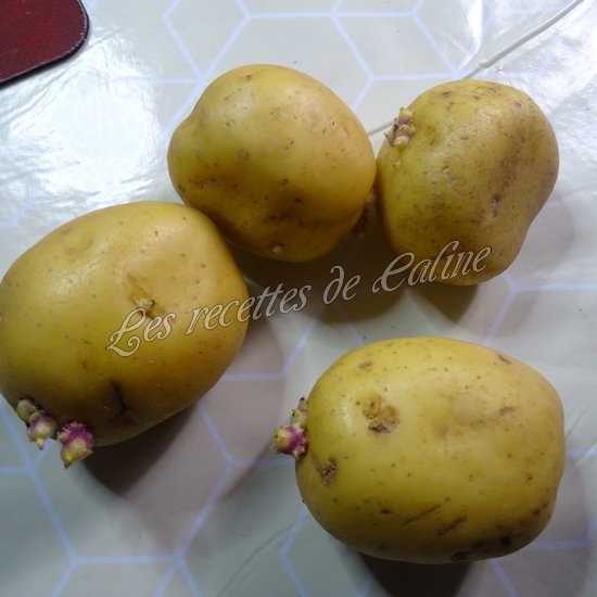 Gratin de chou fleur et viande Hachée01