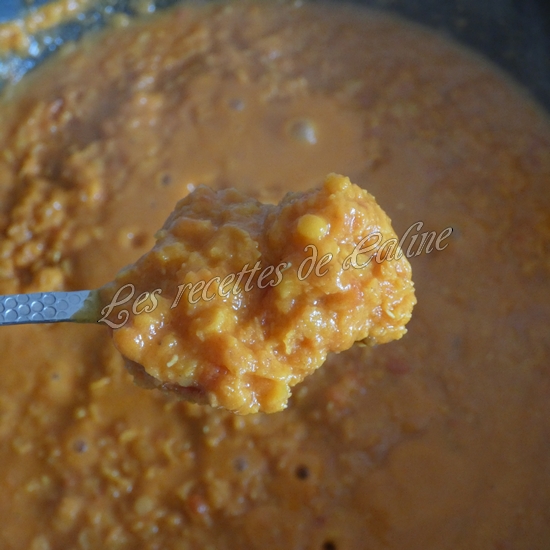 lentilles corail a l'indienne15