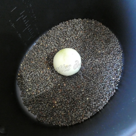 Lentilles a la viande de potée02