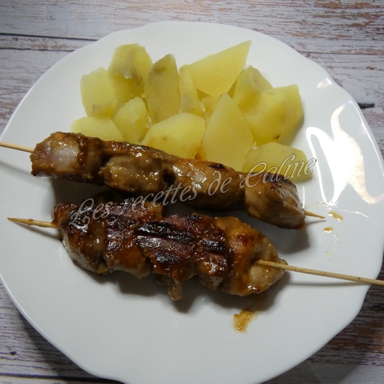 Brochettes de poulet au miel et au soja11