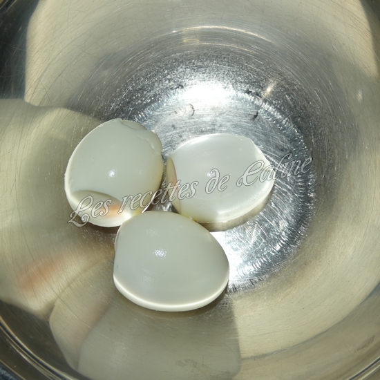 Wraps aux œufs mimosa et crudités02