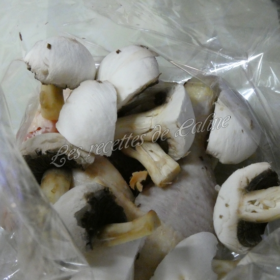 Poulet en sachet04