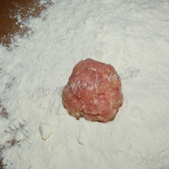 Boulettes de porc au curry08