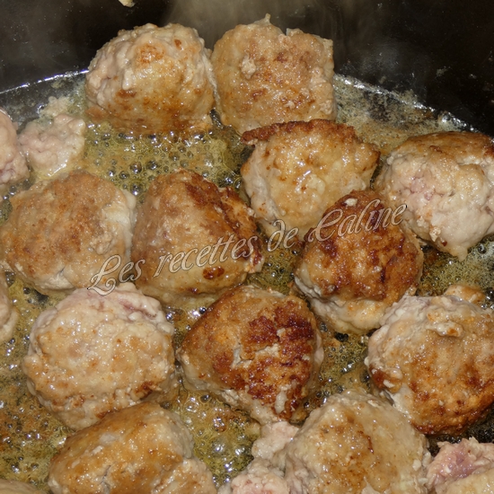 Boulettes de porc au curry11