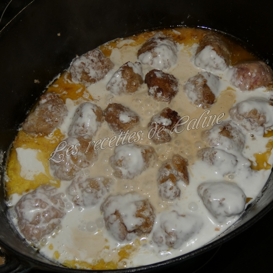 Boulettes de porc au curry12