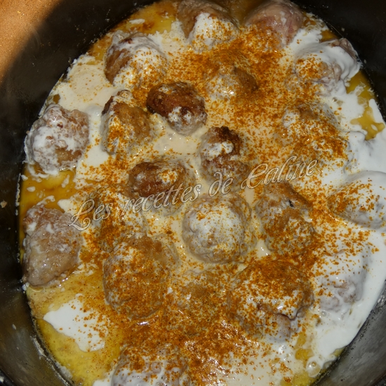 Boulettes de porc au curry13