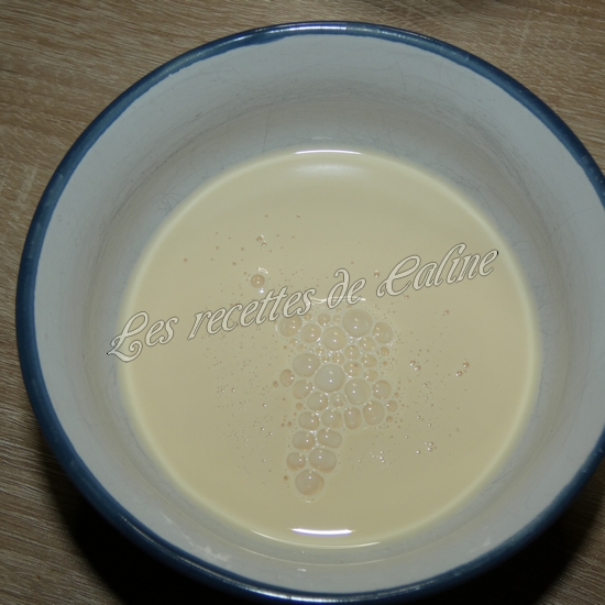 Glace au camembert et petites tatins aux pommes01