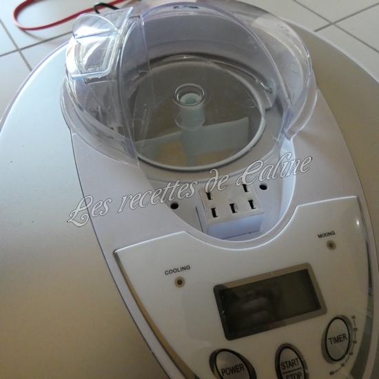 Glace au camembert et petites tatins aux pommes09