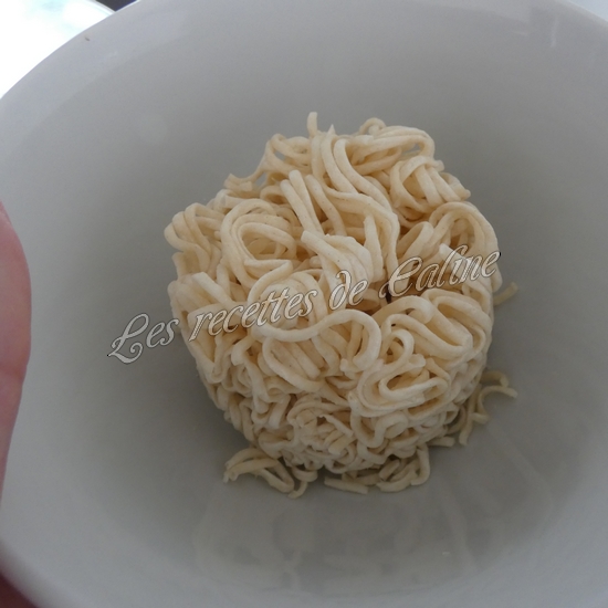 Nouilles sautées au poulet à la sauce soja11