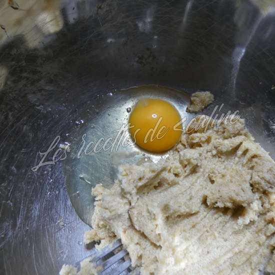 Cookies a l'américaine de papageekendebardeur05