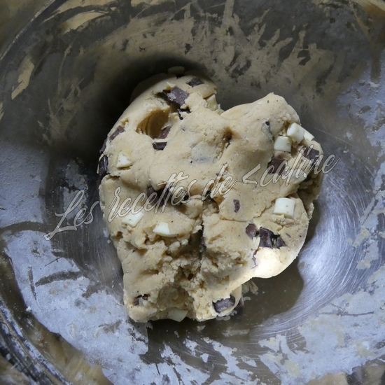 Cookies a l'américaine de papageekendebardeur14