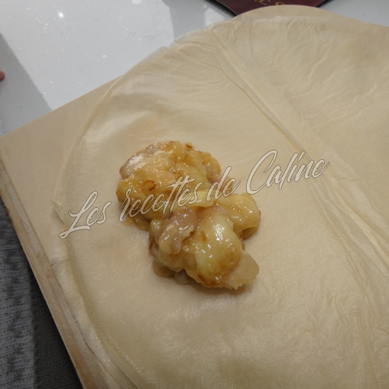 Brick au poulet a l'air fryer14