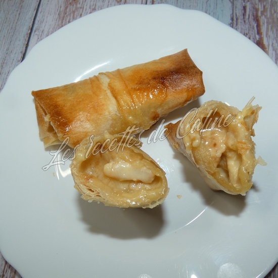 Brick au poulet a l'air fryer19