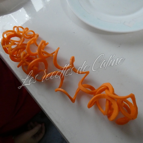 Filet de porc teriyaki à l’air fryer12