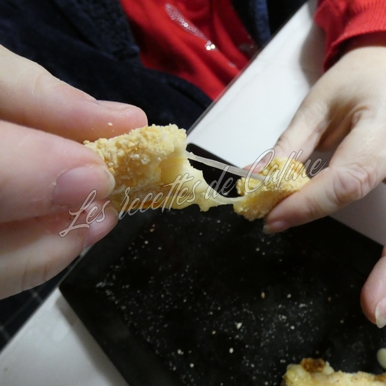 Bâtonnets de fromage à la friteuse à air chaud23