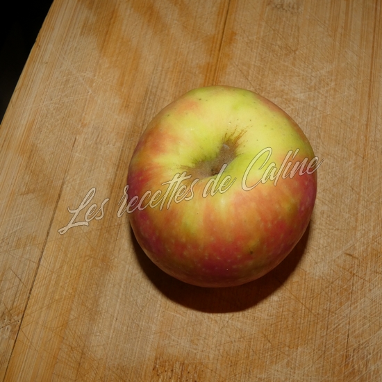 Curry de poulet minceur à la pomme07