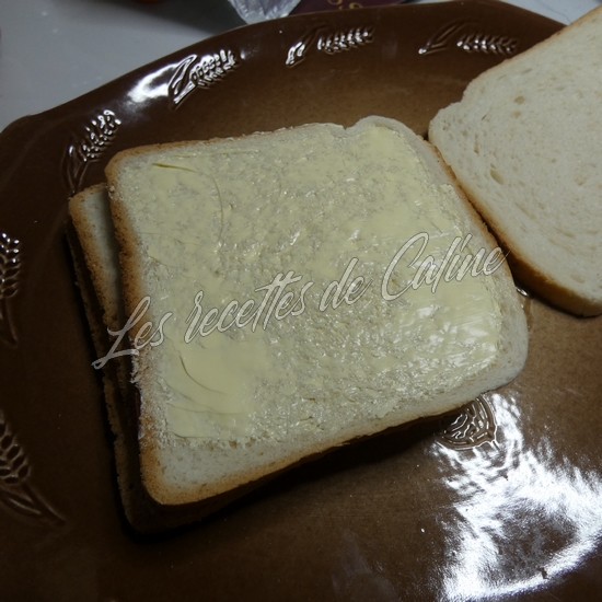 Croque a la sardine02