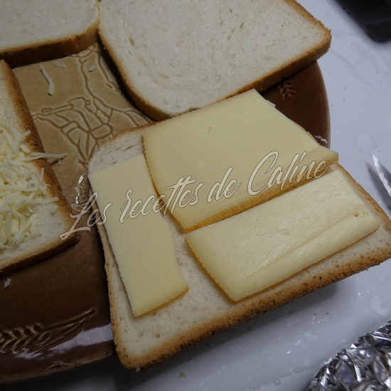 Croque a la sardine04