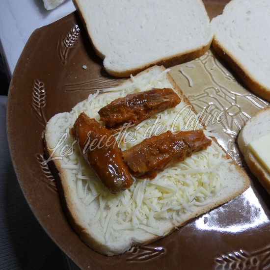 Croque a la sardine06