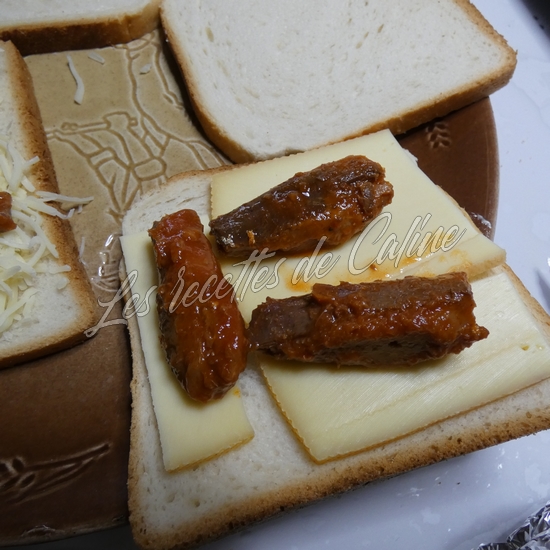 Croque a la sardine07