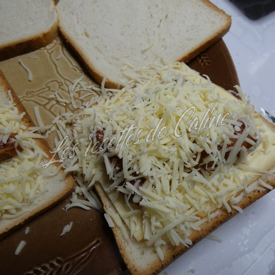 Croque a la sardine08