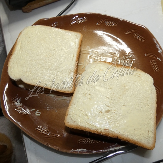 Croque a la sardine09