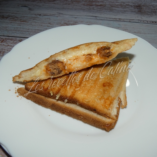 Croque a la sardine10