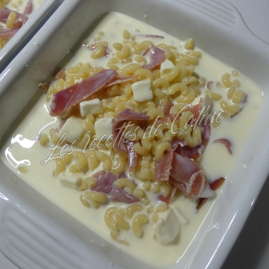 Gratin de coquillettes au jambon cru et St marcellin10