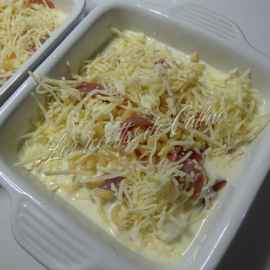 Gratin de coquillettes au jambon cru et St marcellin12