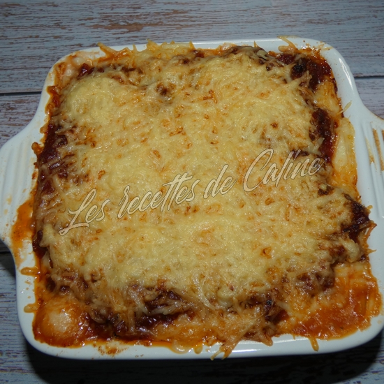 Lasagne22